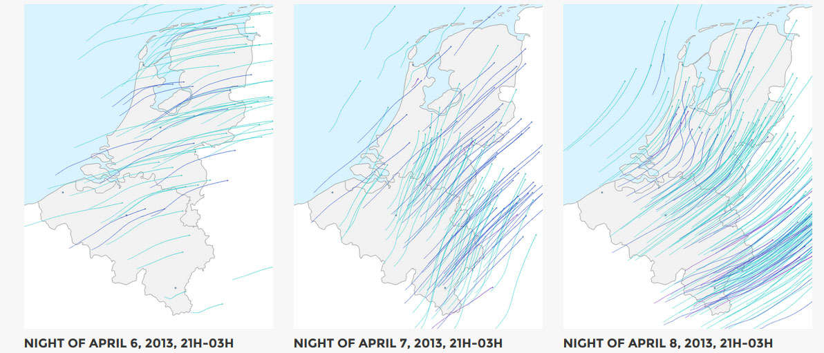 timamp visualization