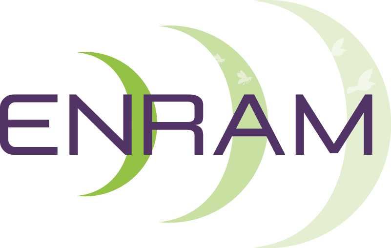 ENRAM logo without text